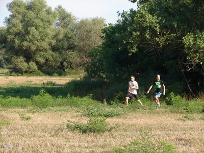 Számháború